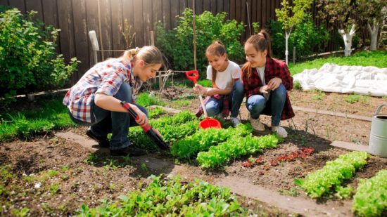 A family uses a Rotoshovel product in their garden
